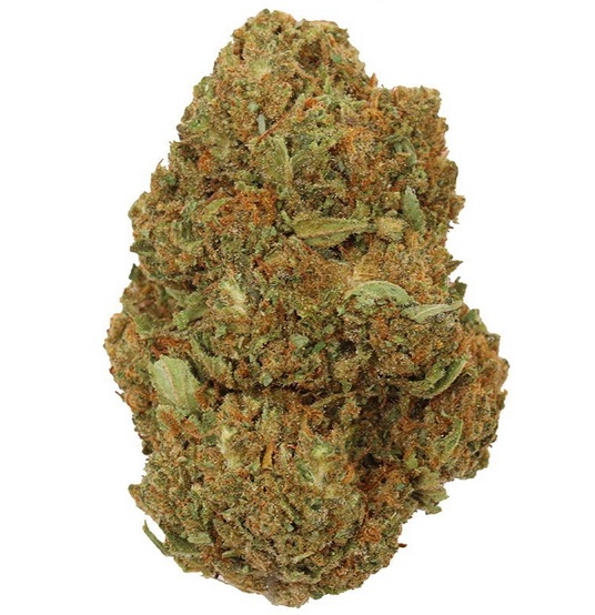 AK-47 Hybrid Marijuana Marseille - Euro Weed Clinic