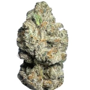 Ghost OG Kush Weed Strain Naples
