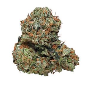 Kosher Kush Cannabis Strain Hamburg