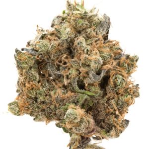Mr. Nice Guy Marijuana Strain Paris