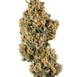 Paris OG Kush Marijuana Strain Milan